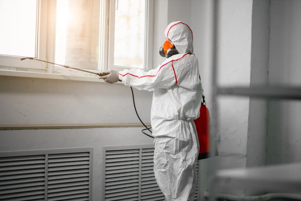 Professional mold remediation services in Oak Grove, MO